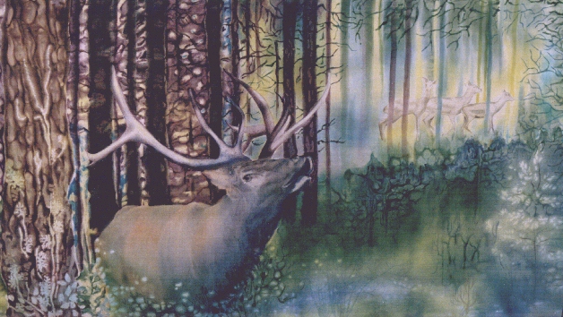 Le Brame Du Cerf