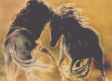 Les Chevaux Sauvages
