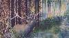 Le Br�me du Cerf