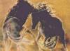 Les Chevaux Sauvages
