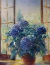 Les hortensias