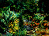 Le jardin aux mille couleurs, aux mille senteurs