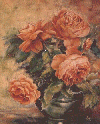 Roses d'un matin